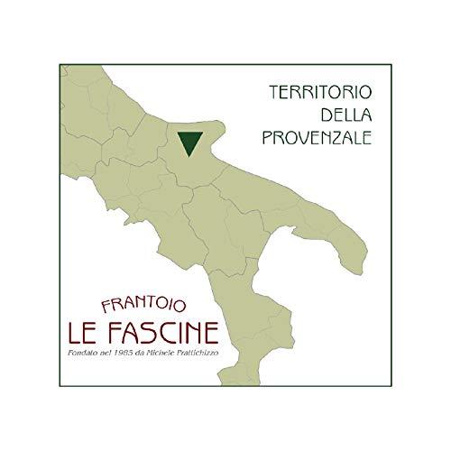 Le Fascine 100% itaalia Puglia ekstra neitsioliiviõli Provence’i oliividest (5-liitrine kanister) – lisavaade