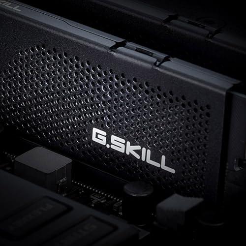G.SKILL Flare X5 Series (AMD Expo) 32GB (2X 16GB) 288-Pin SDRAM DDR5 6000 CL36-36-36-96 1,35V Kahekanaliline Lauaarvuti Mälu F5-6000J3636F16GX2-FX5 (matt must) – pilt 6