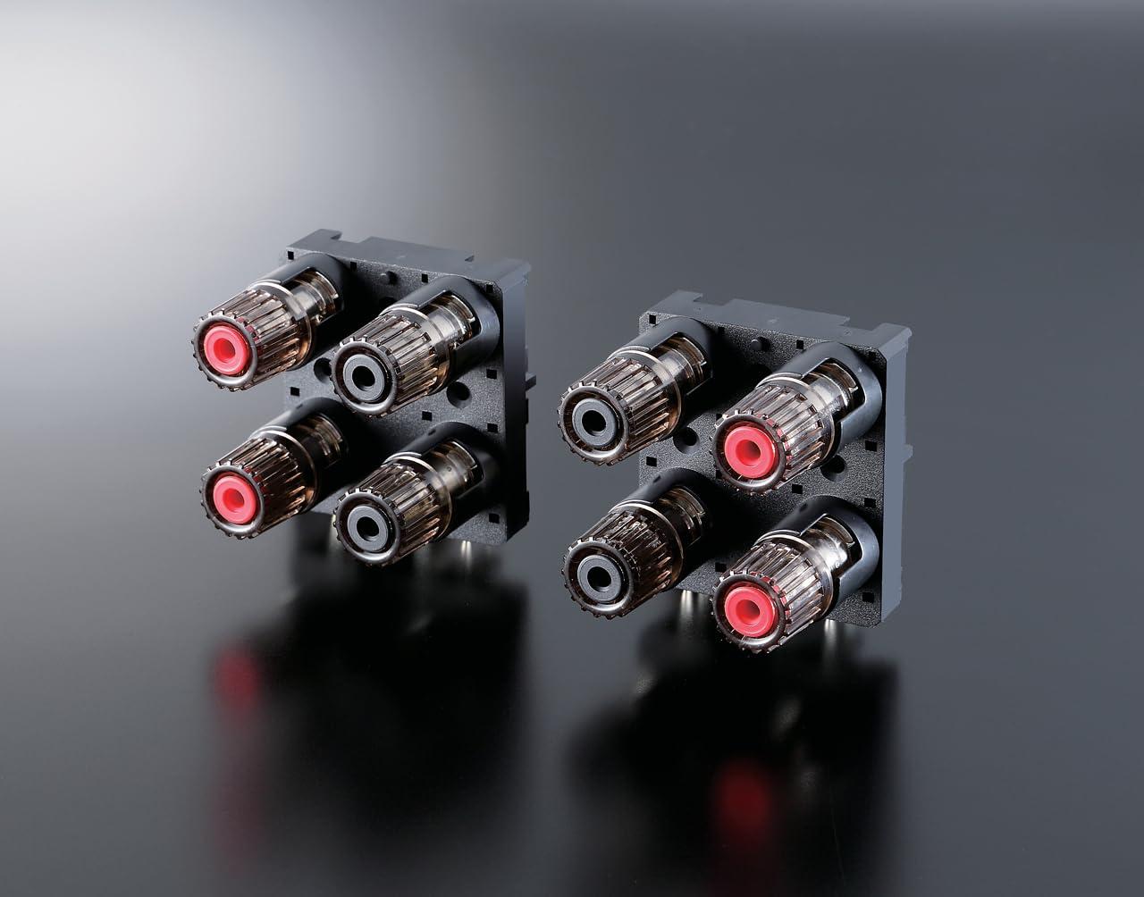 Yamaha A-S301 stereovõimendi D/A-muunduriga, must – pilt 6
