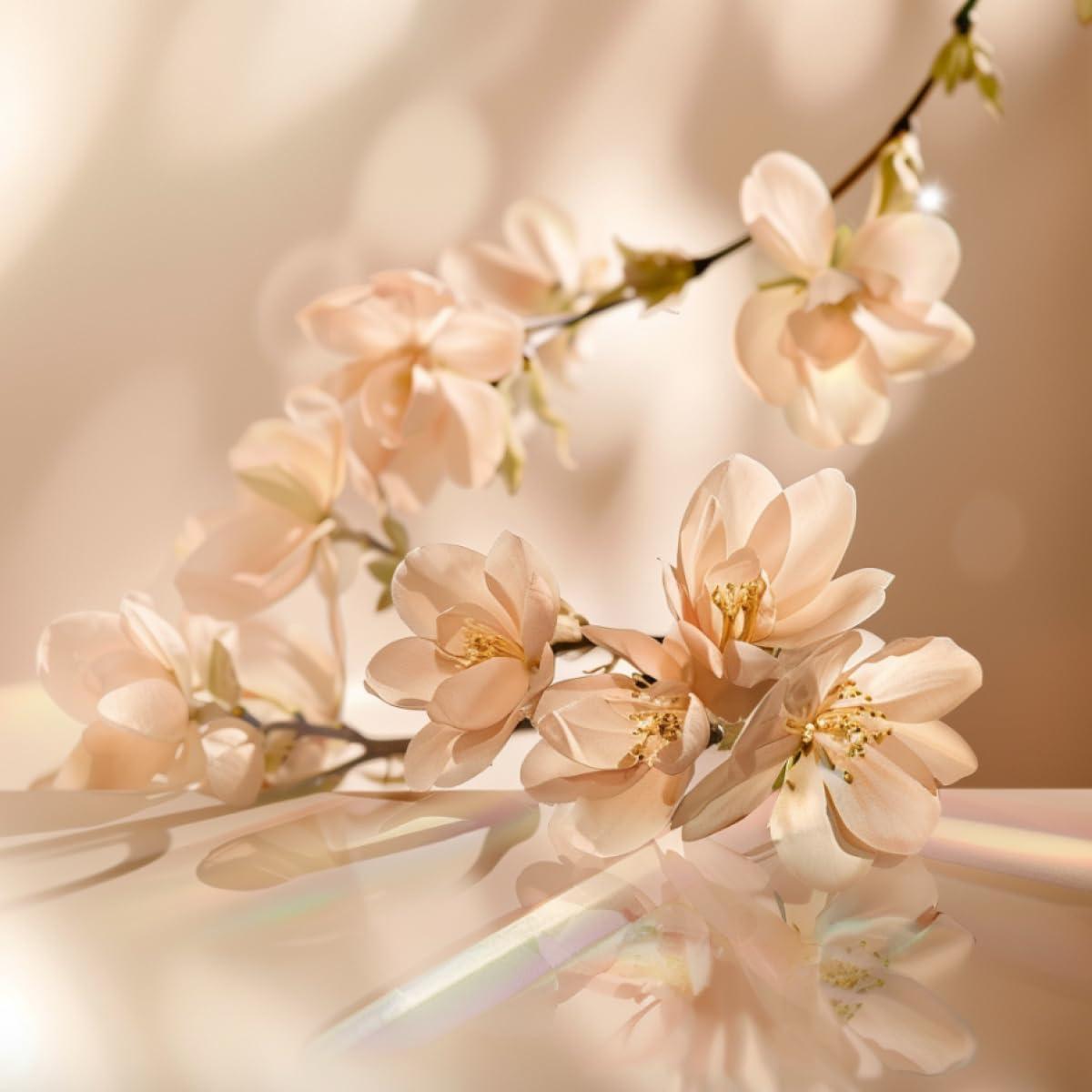 Elie Saab Le Parfum 90 ml – Eau de Parfum naistele – Lillene Chypre lõhn – Oranžiõie