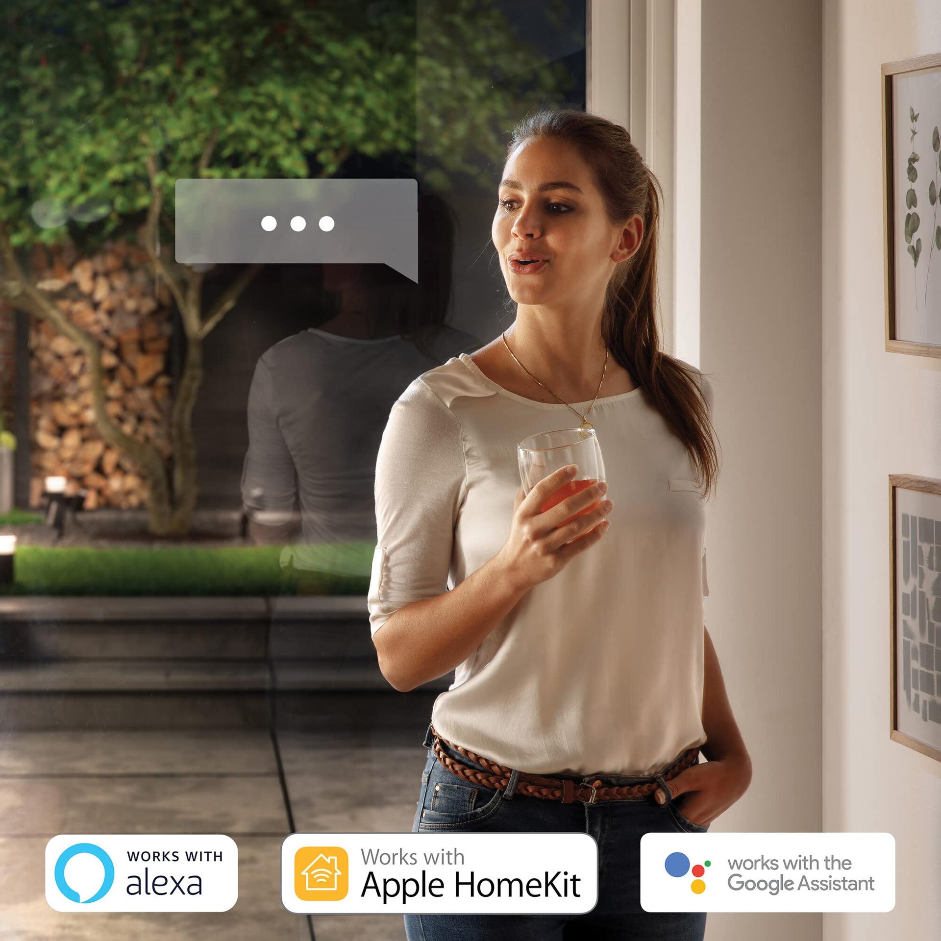 Philips Hue White & Color Ambiance Nyro välisseinavalgusti (1 020 lm), nutikas hämardatav LED-valgusti 16 miljoni värviga, juhtimine äpi või häälkäskluste abil, hõbedane – lisavaade