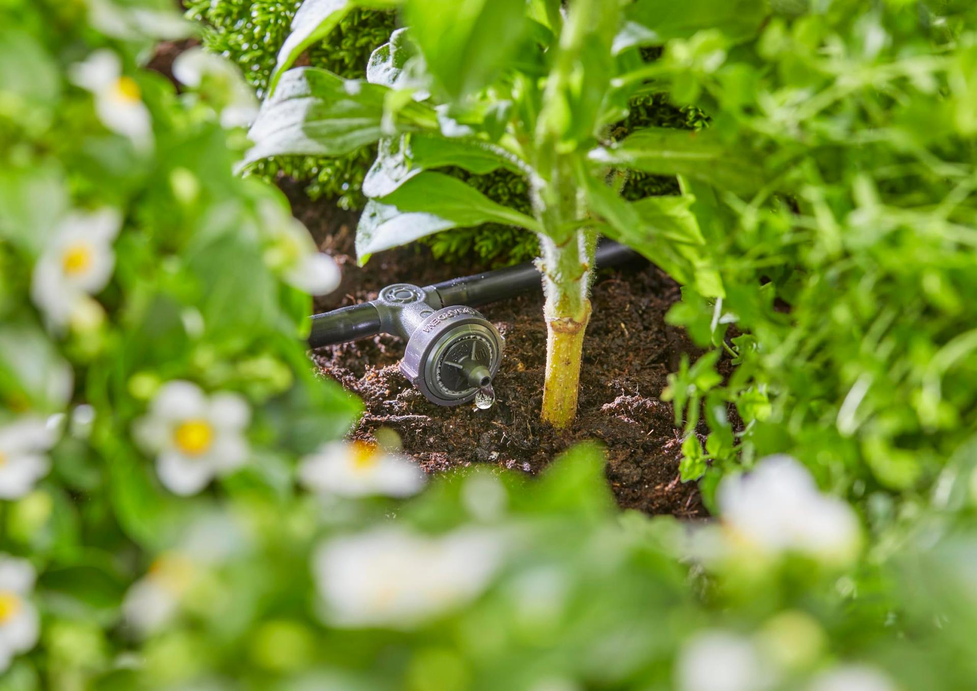 Gardena Micro-Drip-System Tilkkastmissüsteem Kõrgepeenar/Peenar (35 taime): Stardiaab kohese kasutusvalmidusega, veesäästlik kastmissüsteem, lihtne ja paindlik ühendustehnoloogia (13455-20) – pilt 6