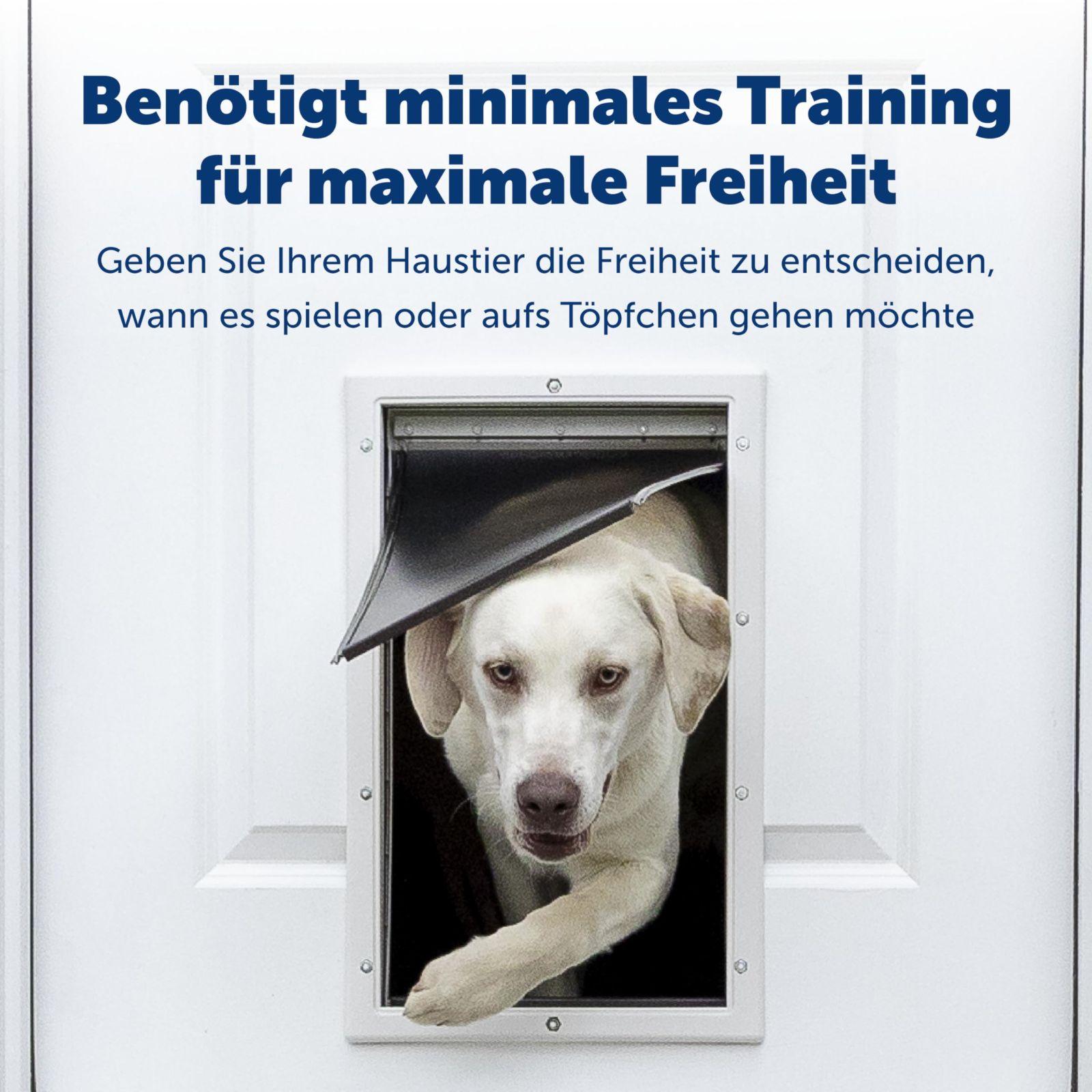PetSafe Staywell alumiiniumist koeraluuk, vastupidav alumiiniumraam, magnetlukustus, kuni 100 kg kaaluvatele koertele, XL suurus – kasutusnäide