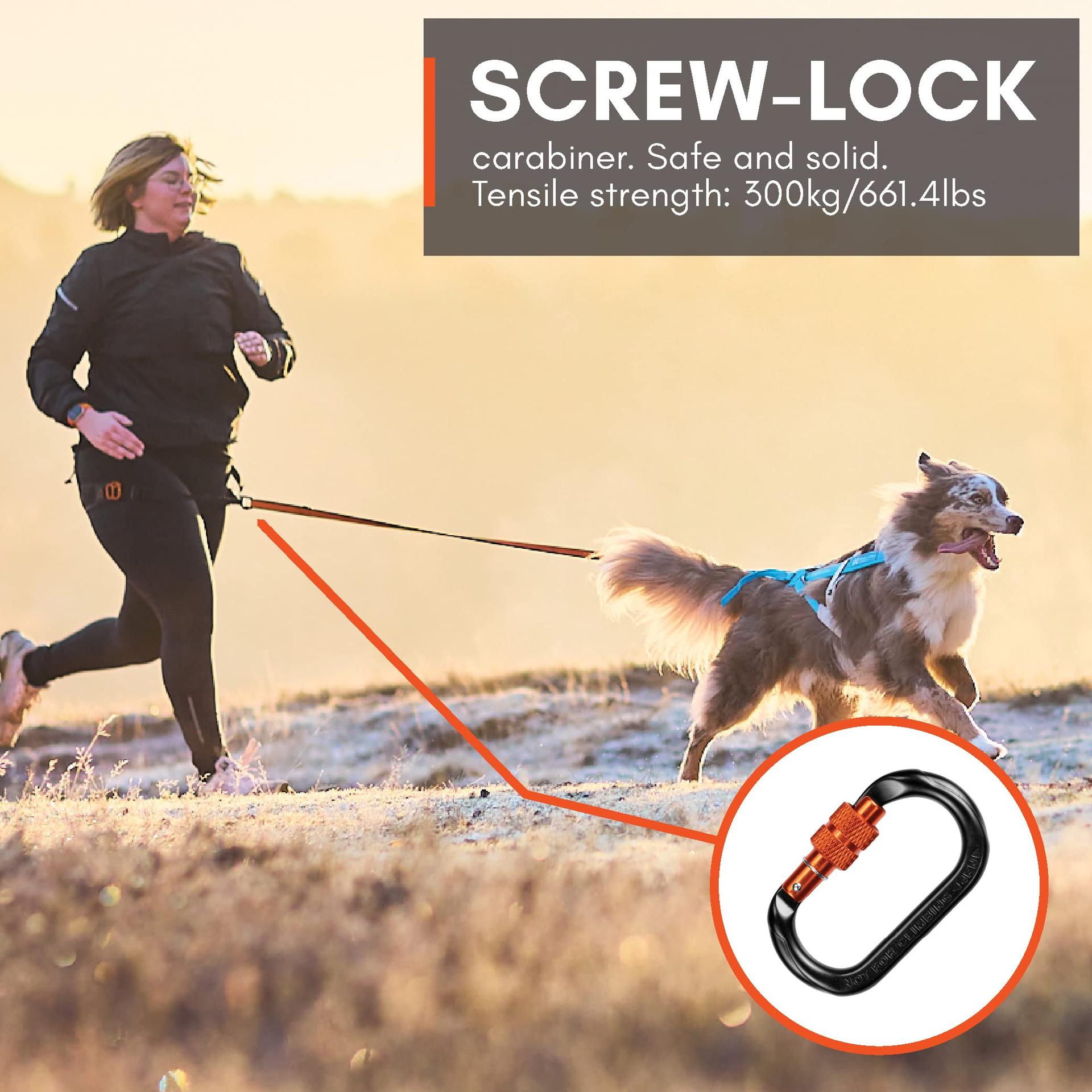 Non-stop dogwear CaniX vöö – käed vabad jooksuvöö koertele Canicross’i jaoks, suurus M – kasutusnäide