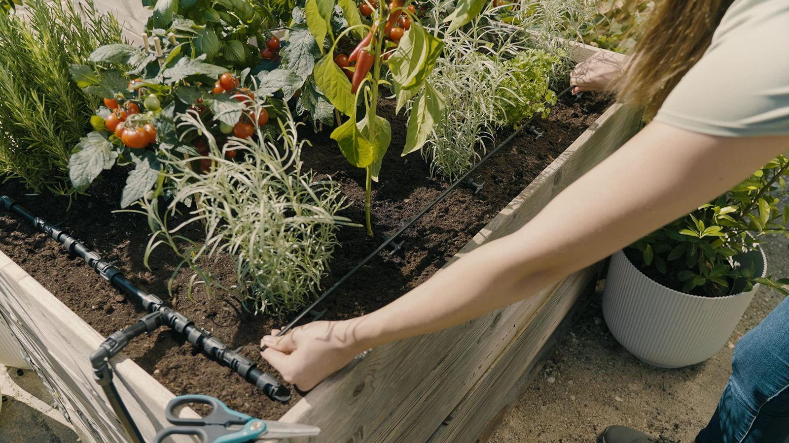 Gardena Micro-Drip-System Tilkkastmissüsteem Kõrgepeenar/Peenar (35 taime): Stardiaab kohese kasutusvalmidusega, veesäästlik kastmissüsteem, lihtne ja paindlik ühendustehnoloogia (13455-20) – pakend ja tarvikud