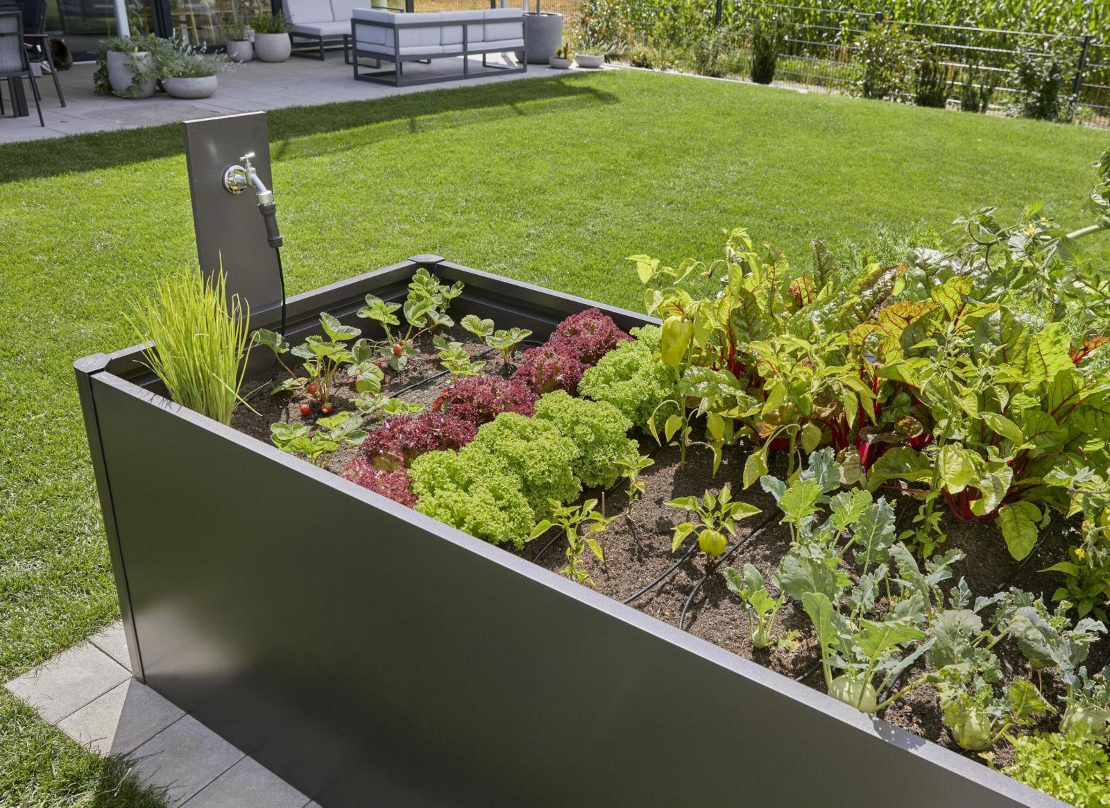 Gardena Micro-Drip-System Tilkkastmissüsteem Kõrgepeenar/Peenar (35 taime): Stardiaab kohese kasutusvalmidusega, veesäästlik kastmissüsteem, lihtne ja paindlik ühendustehnoloogia (13455-20) – pilt 7