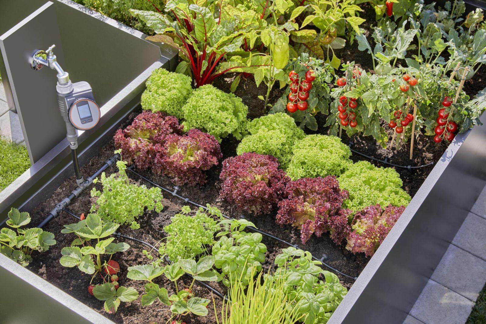 Gardena Micro-Drip-System Tilkkastmissüsteem Kõrgepeenar/Peenar (35 taime): Stardiaab kohese kasutusvalmidusega, veesäästlik kastmissüsteem, lihtne ja paindlik ühendustehnoloogia (13455-20) – pilt 8