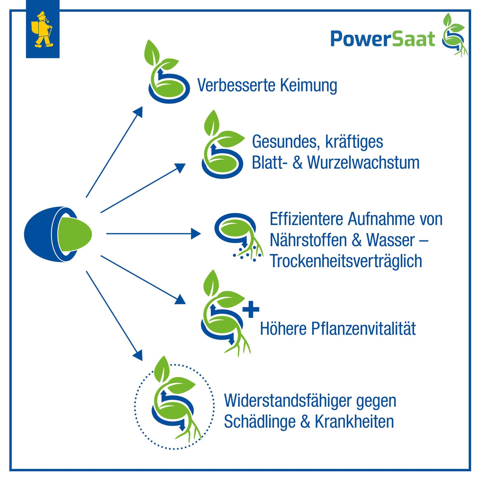 Kiepenkerl salatisalat Babyleaf — kiire ja külmakindel saak – pilt 8
