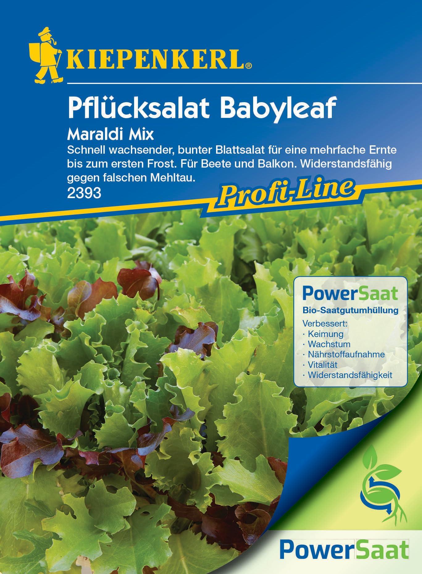 Kiepenkerl salatisalat Babyleaf — kiire ja külmakindel saak