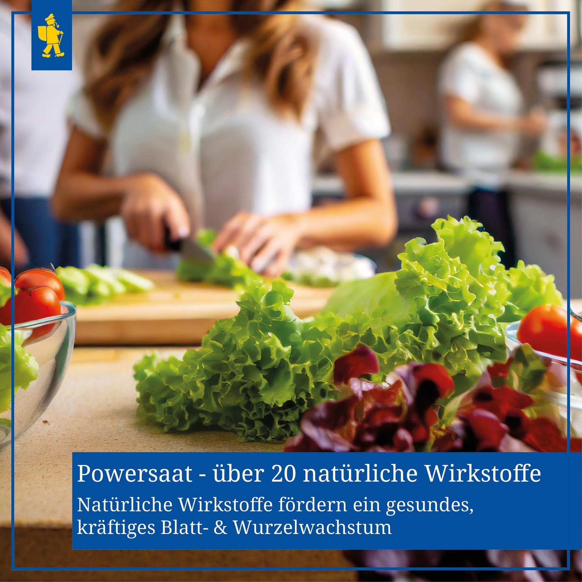 Kiepenkerl salatisalat Babyleaf — kiire ja külmakindel saak – pilt 6