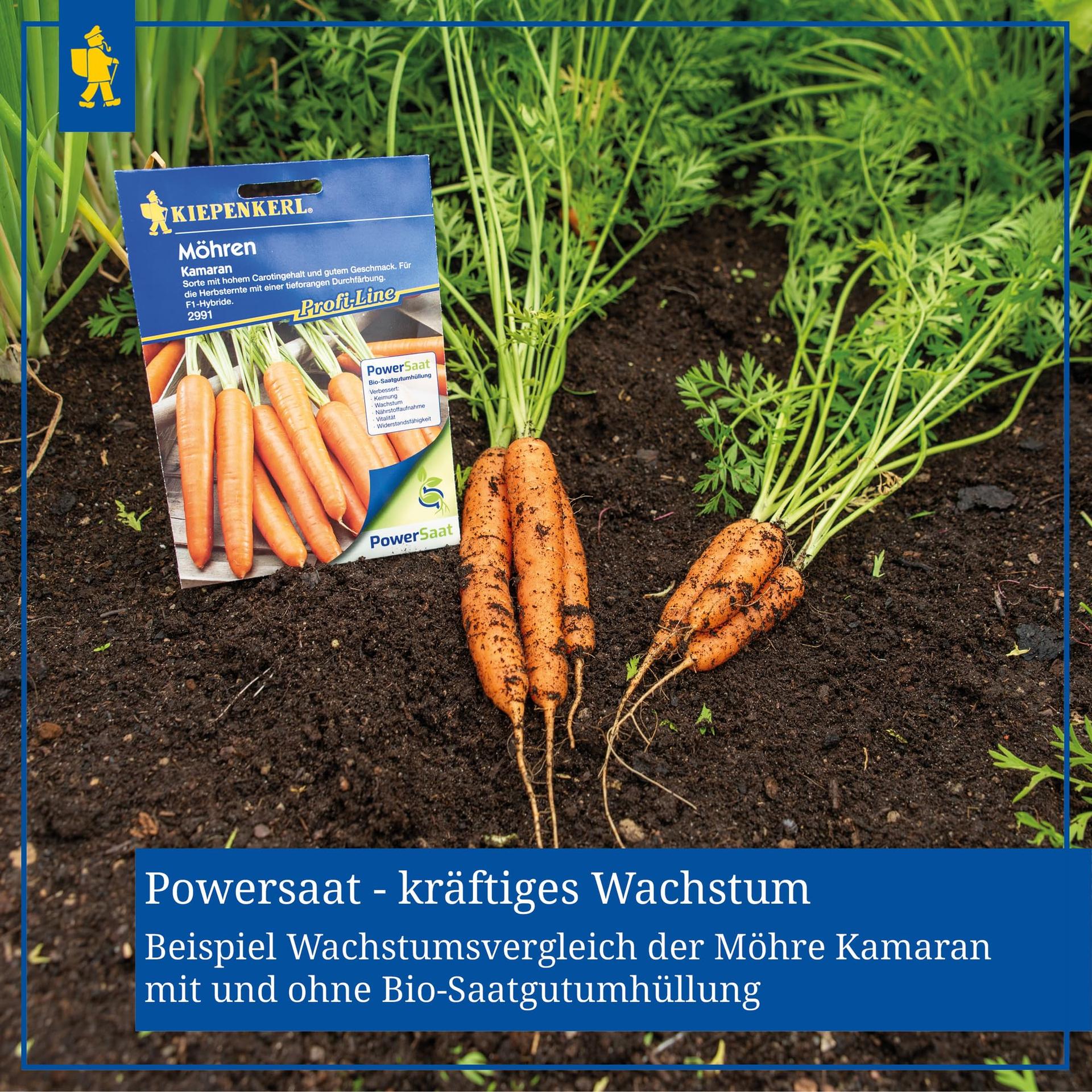 Kiepenkerl salatisalat Babyleaf — kiire ja külmakindel saak – pilt 7