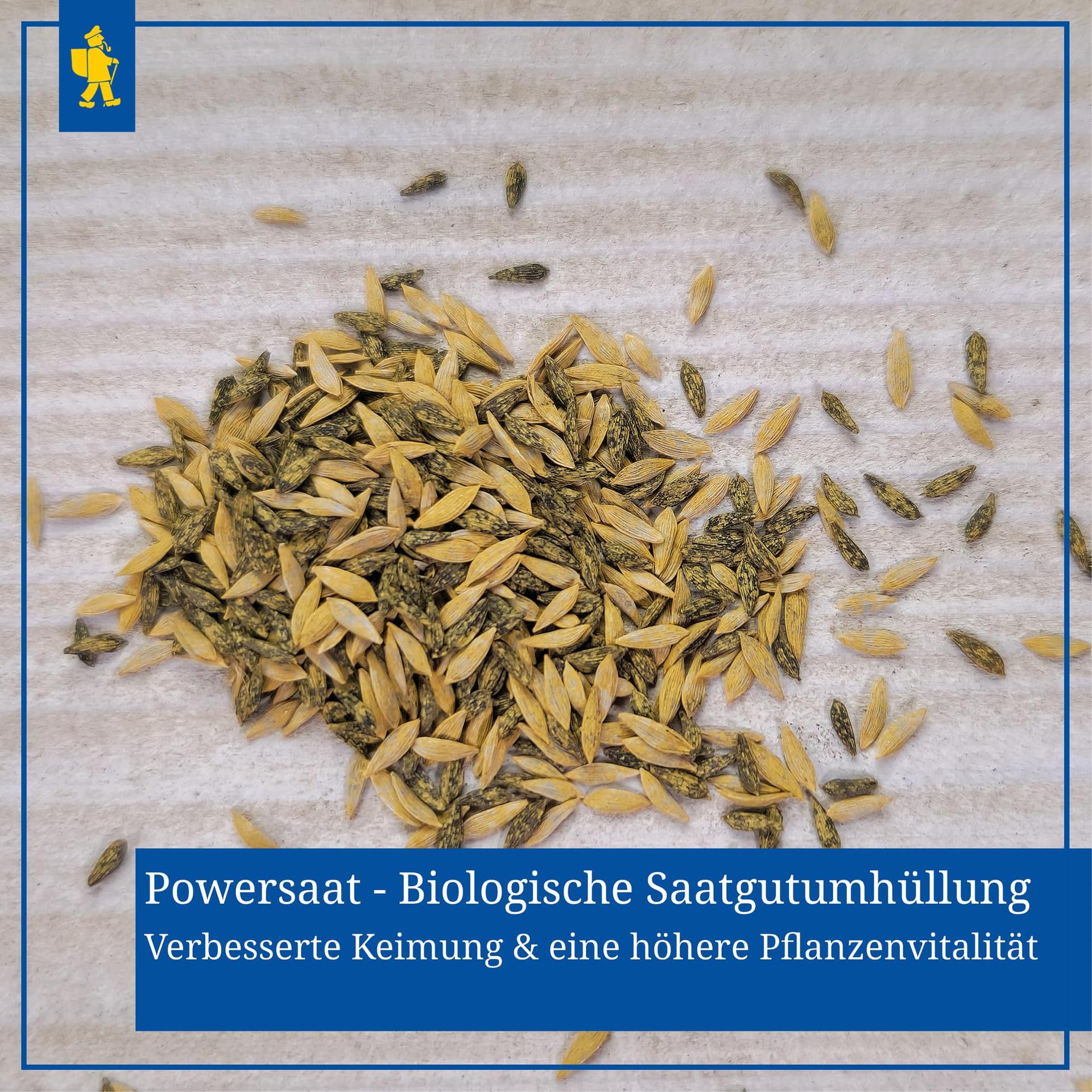 Kiepenkerl salatisalat Babyleaf — kiire ja külmakindel saak – lisavaade