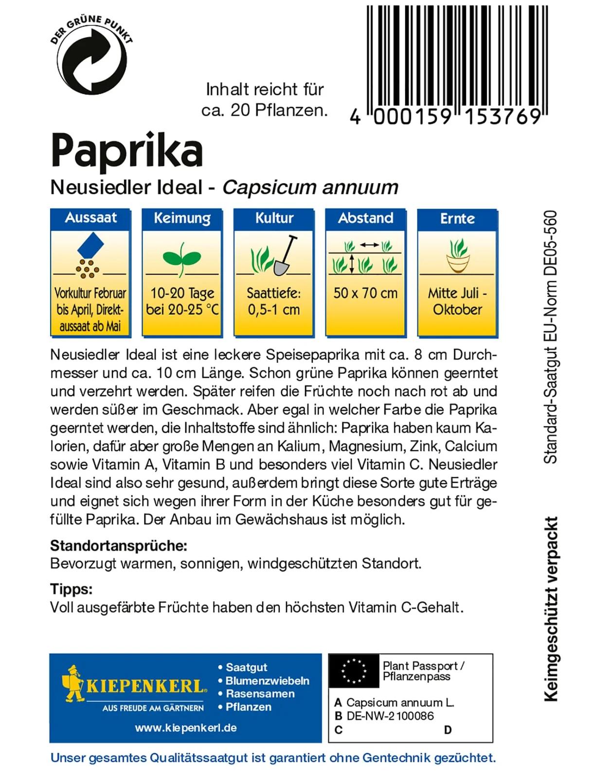 Kiepenkerl paprikas seemned – viljakas Neusiedler Ideal istutus – detailne vaade