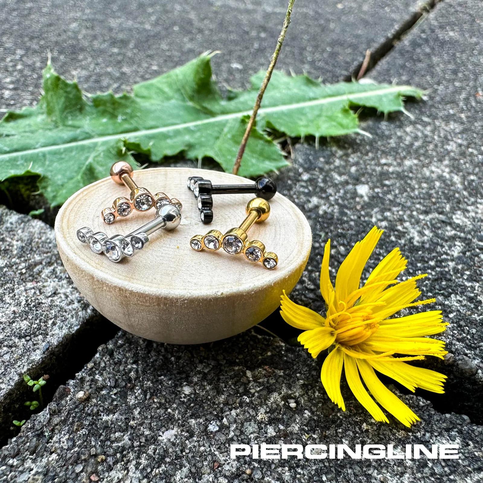 PIERCINGLINE stiilne must kirurgiterasest kõrvarõngas 5 – lisavaade