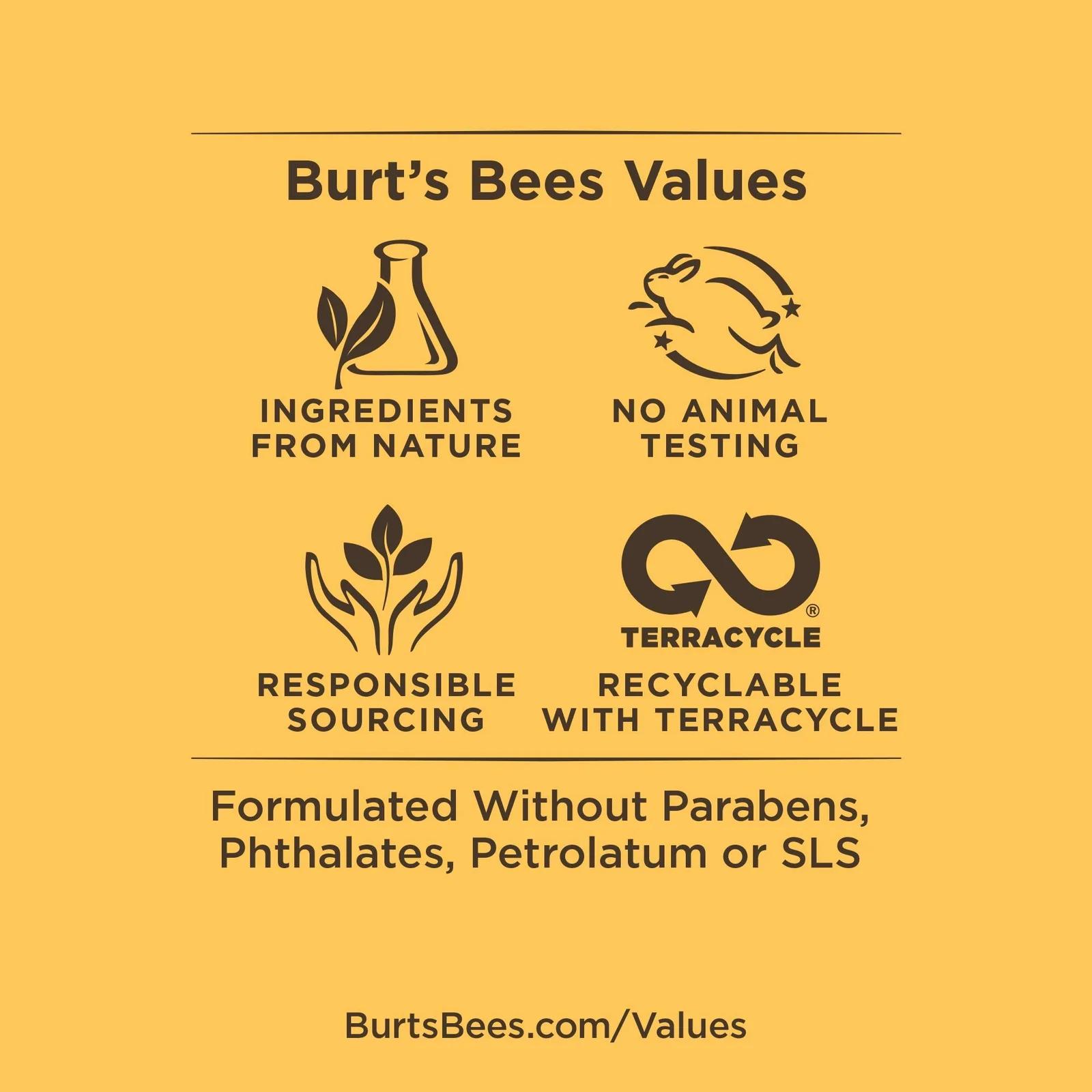Burt’s Bees niisutav huuleläige rabarberiga – pehme viimistlus – pilt 8