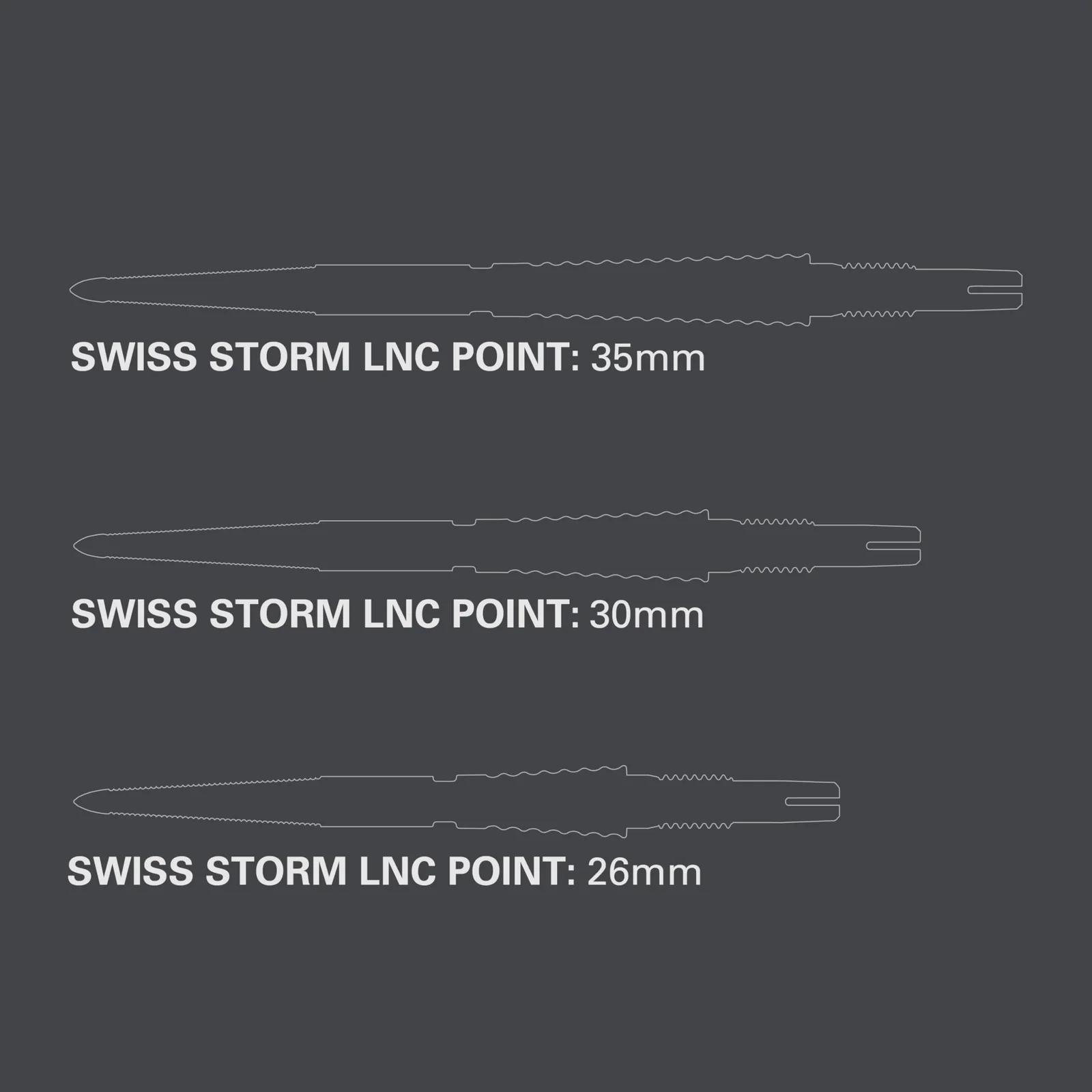 Target Darts roostevabast terasest vahetatavad Swiss Point tipud – detailne vaade