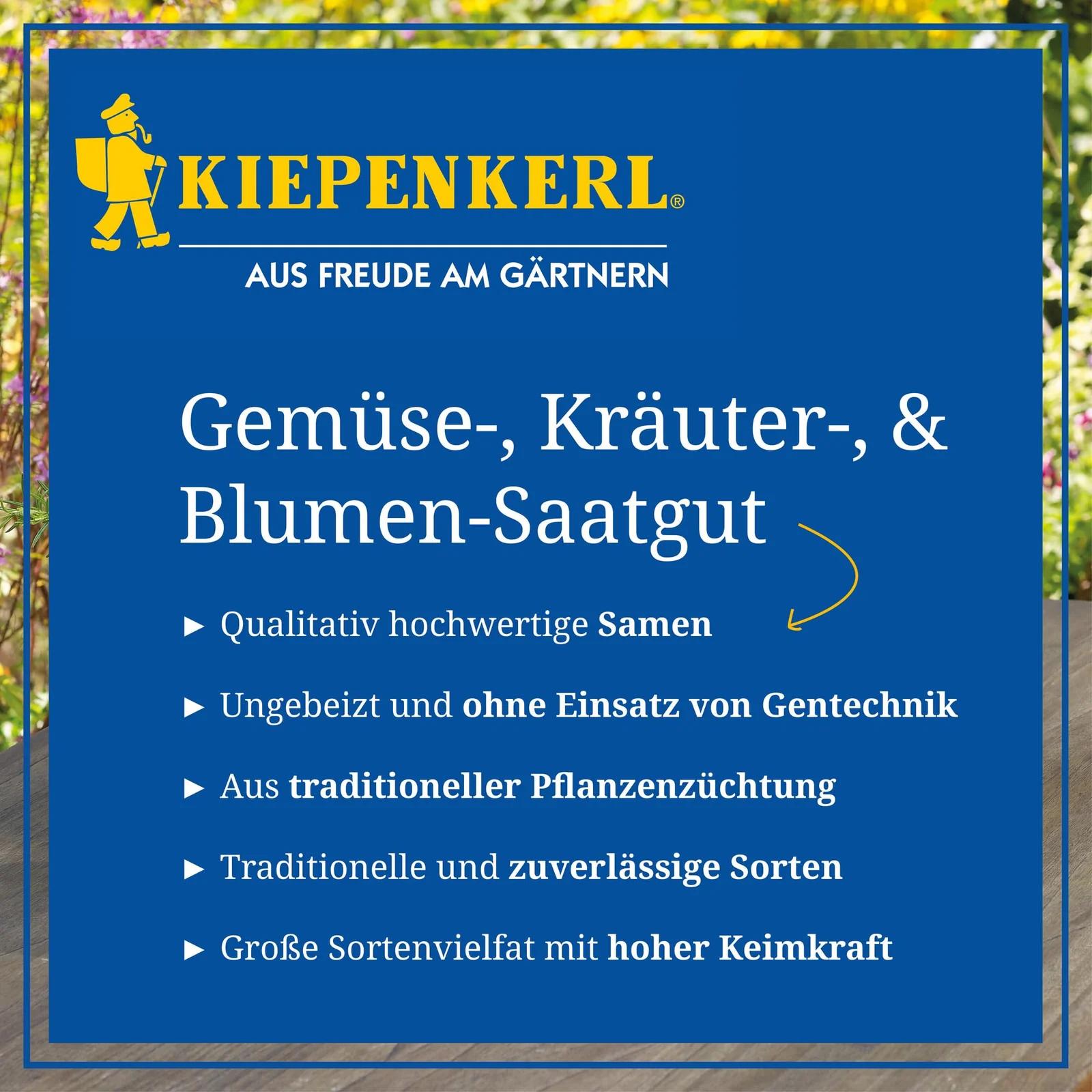 Kiepenkerl paprikas seemned – viljakas Neusiedler Ideal istutus – lisavaade