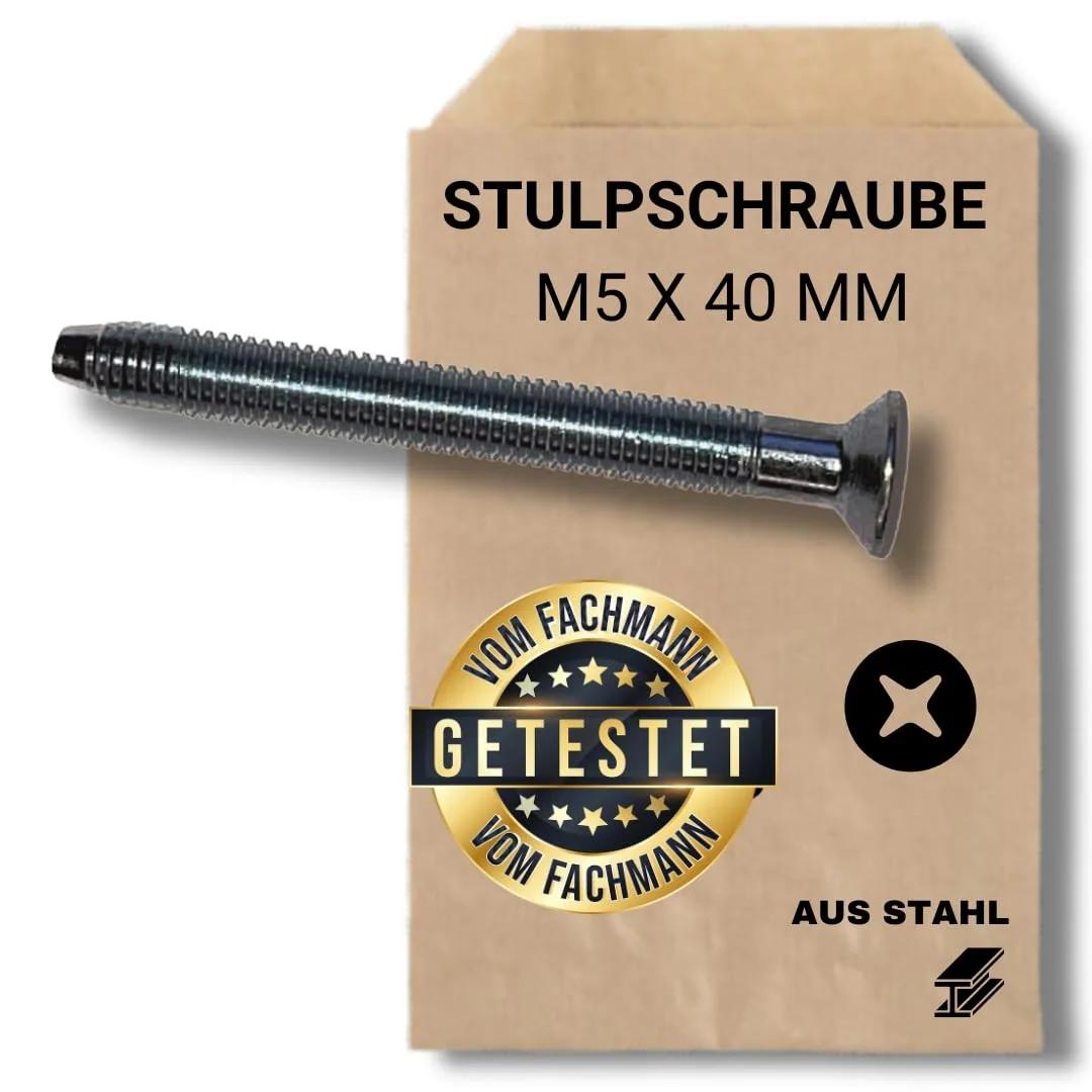 bayesen tsingitud M5 x 40 mm kruvi – vastupidav silindrikinnitus