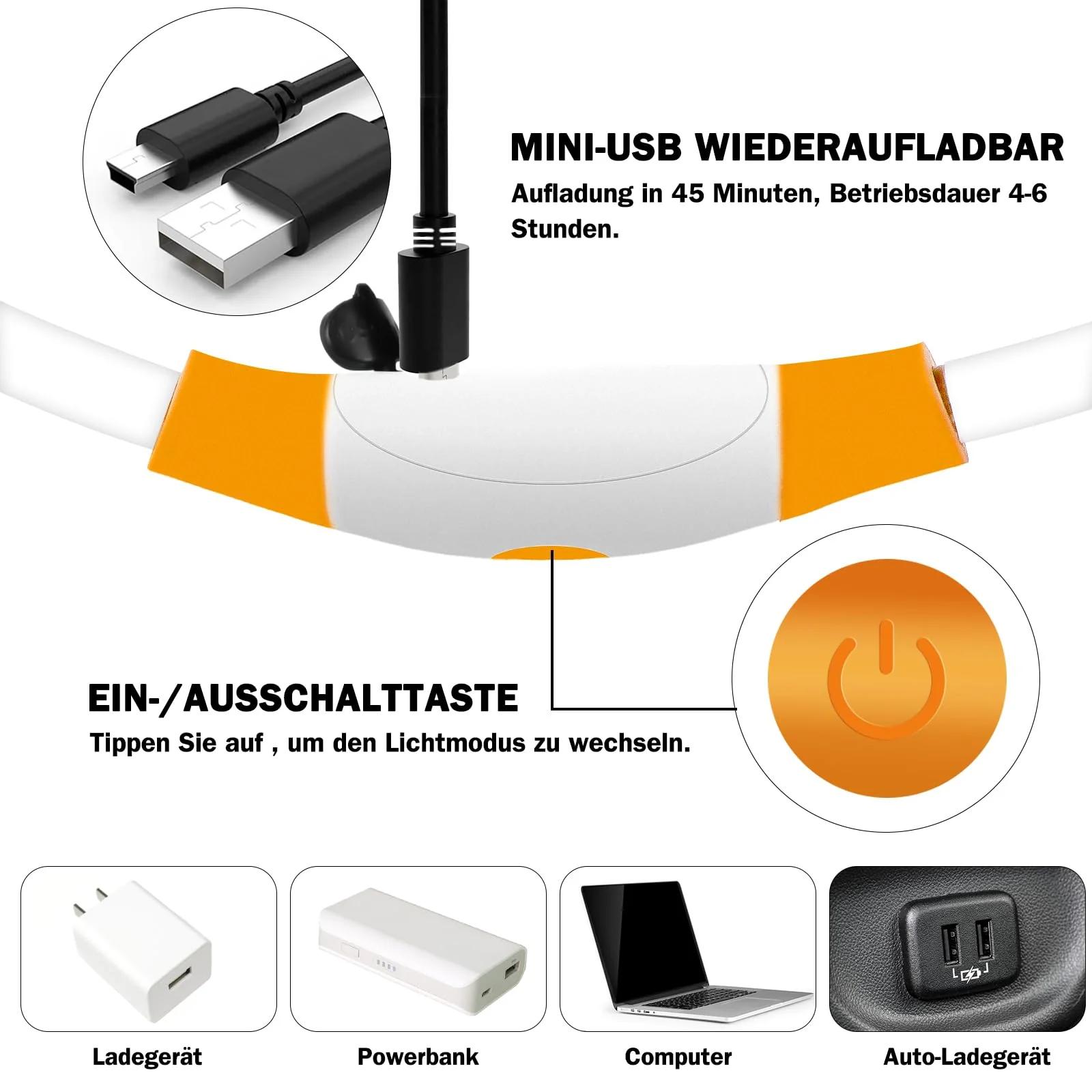 Nepfaivy oranž USB-laetav LED-koerahalsam nähtavuse paranduseks – pakend ja tarvikud