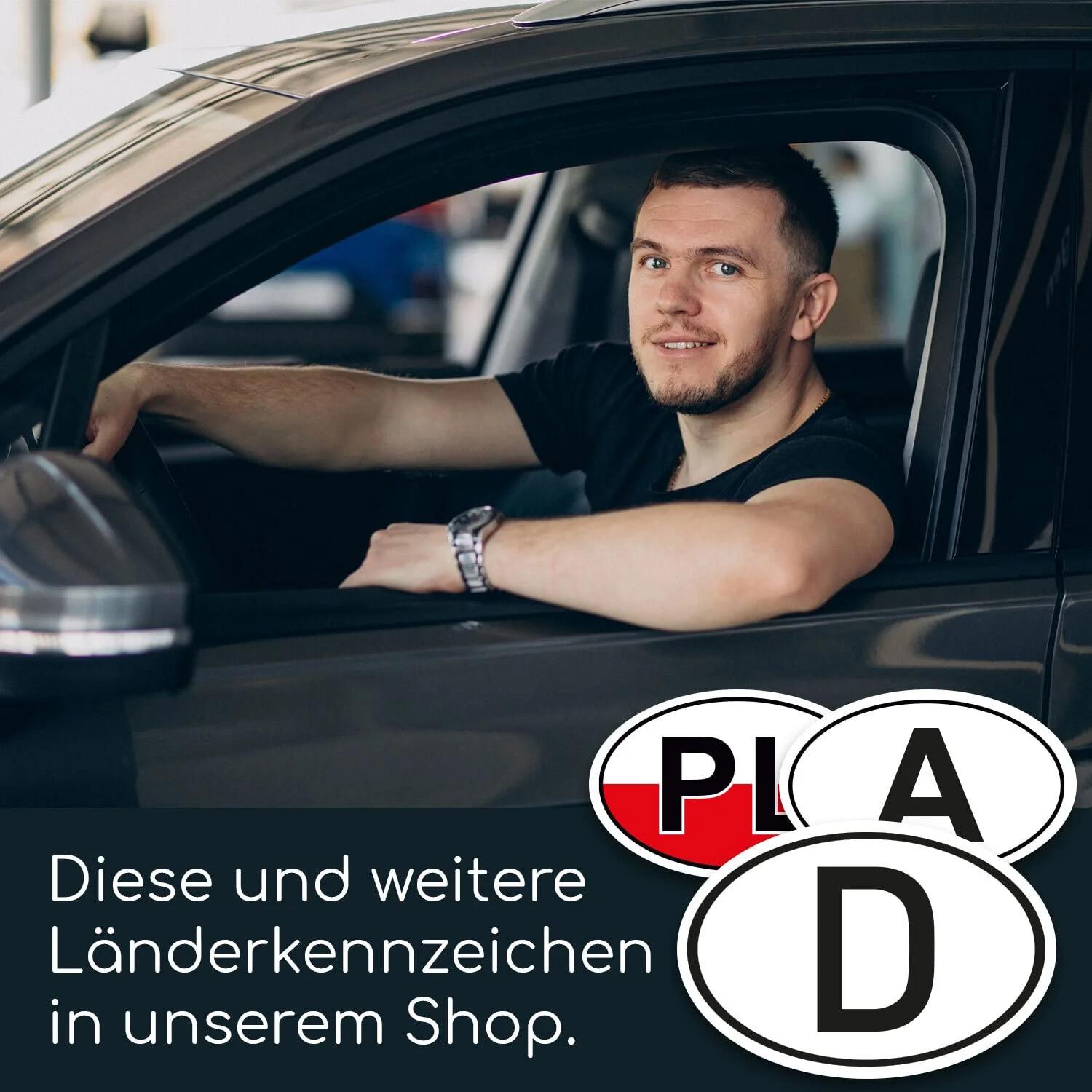 iSecur ilmakindel NL kleebis autosse — DIN 17,5×11,5 cm – pilt 9