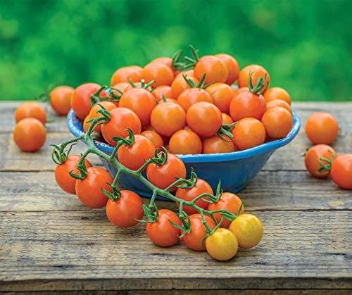 La Verde MEIN GARTEN UND ICH. La Verde istutamiseks mõeldud – kasutusnäide