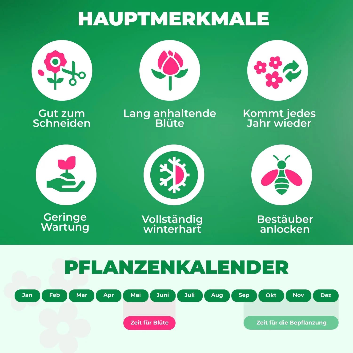DUTCH BULBS EXCLUSIVE PLANTS FROM HOLLAND DUTCH BULBS tugevad – pilt 8