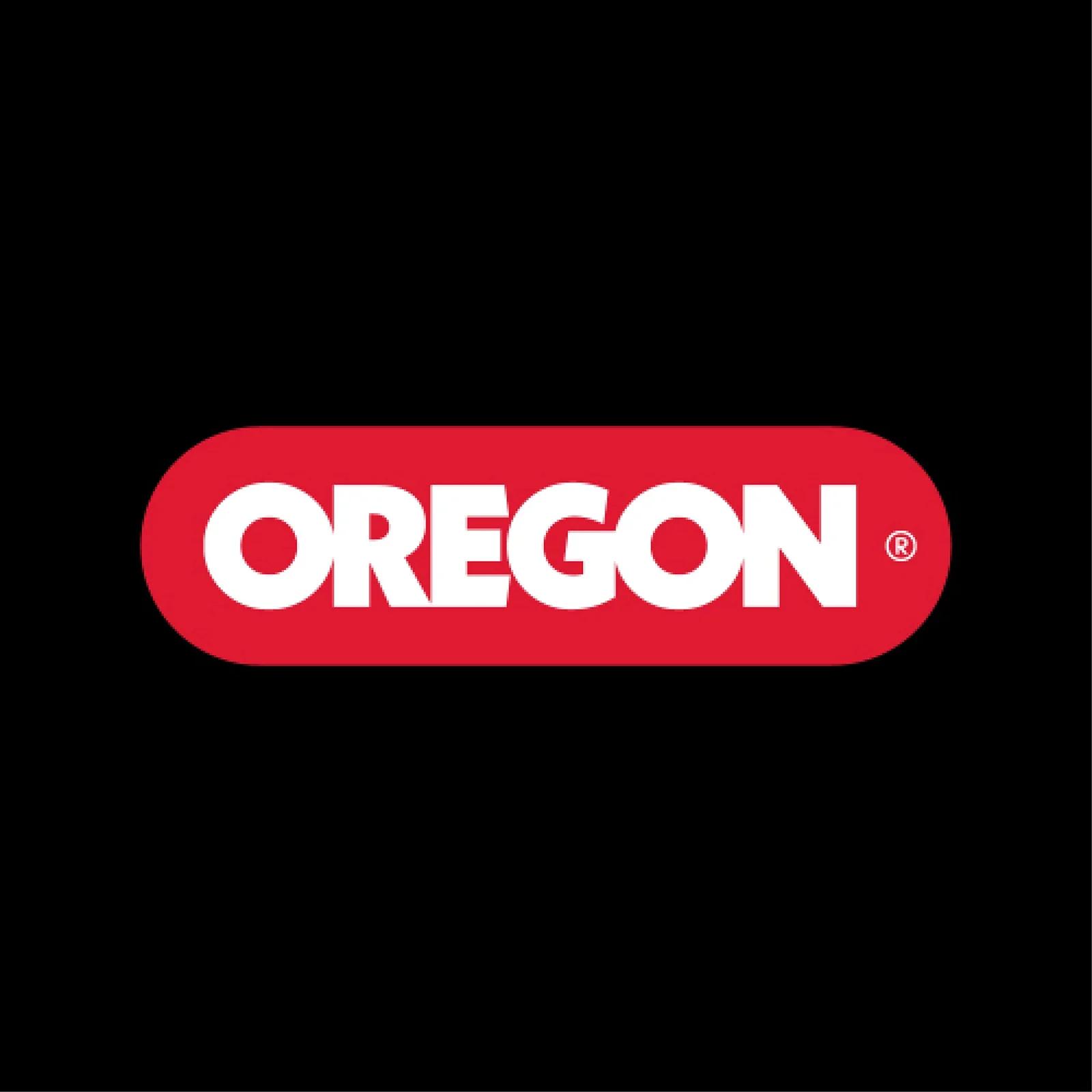 Oregon vastupidav laualine kettaterade lihvija kingituseks – pilt 6