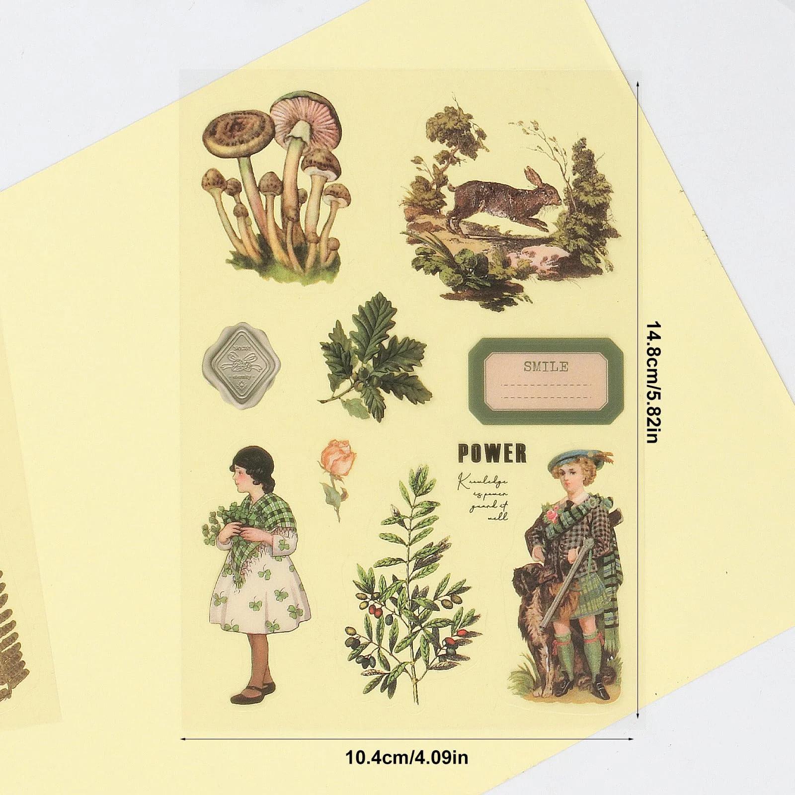 QUIIEOSKIA veekindlad PET-stikrid scrapbookingule — roheline saar – pakend ja tarvikud