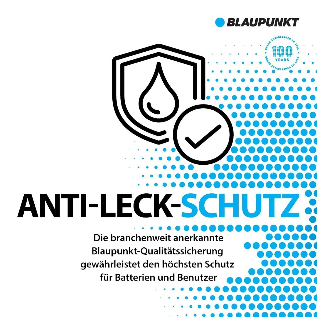 Blaupunkt AAA alkalipatareid – elektroonika ja foto – kasutusnäide