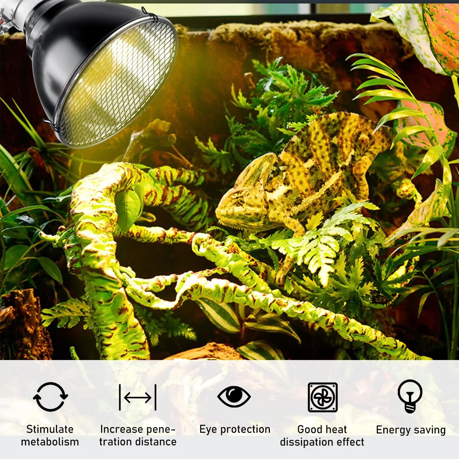 Vegena keraamiline terrarium-lamp UVA/UVB — soojus ja kaitse – pilt 6