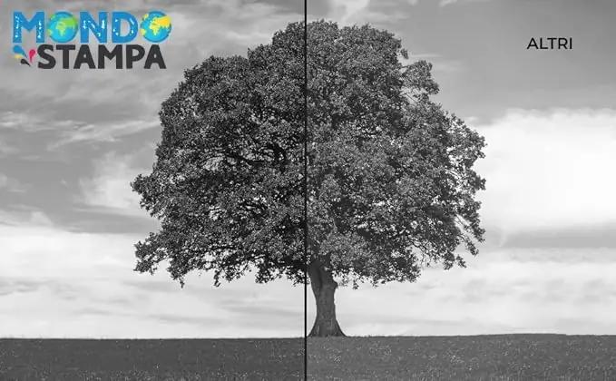Mondo Stampa must tonerkassett TN248XL BK — pikk trükimaht – pakend ja tarvikud