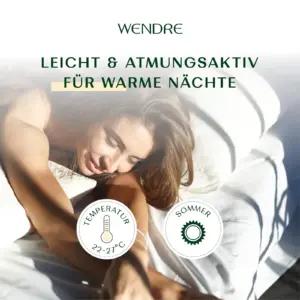 WENDRE 100054348 kodu ja elamine – detailne lähivaade