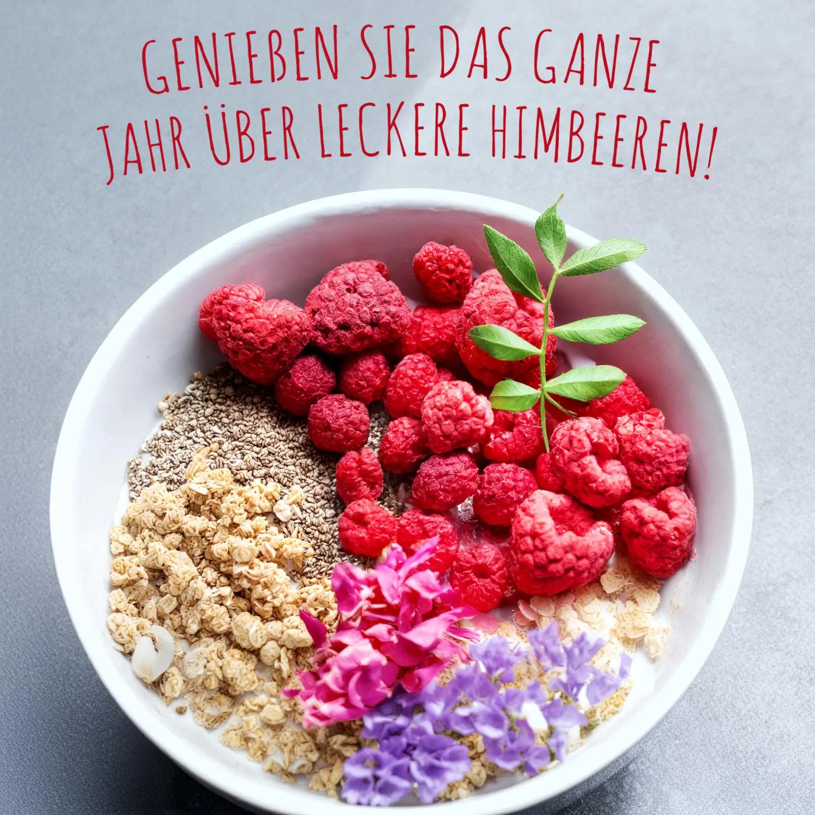 MeerBach & Rose küpsetatud maasikad 500g — looduslik maius – lisavaade