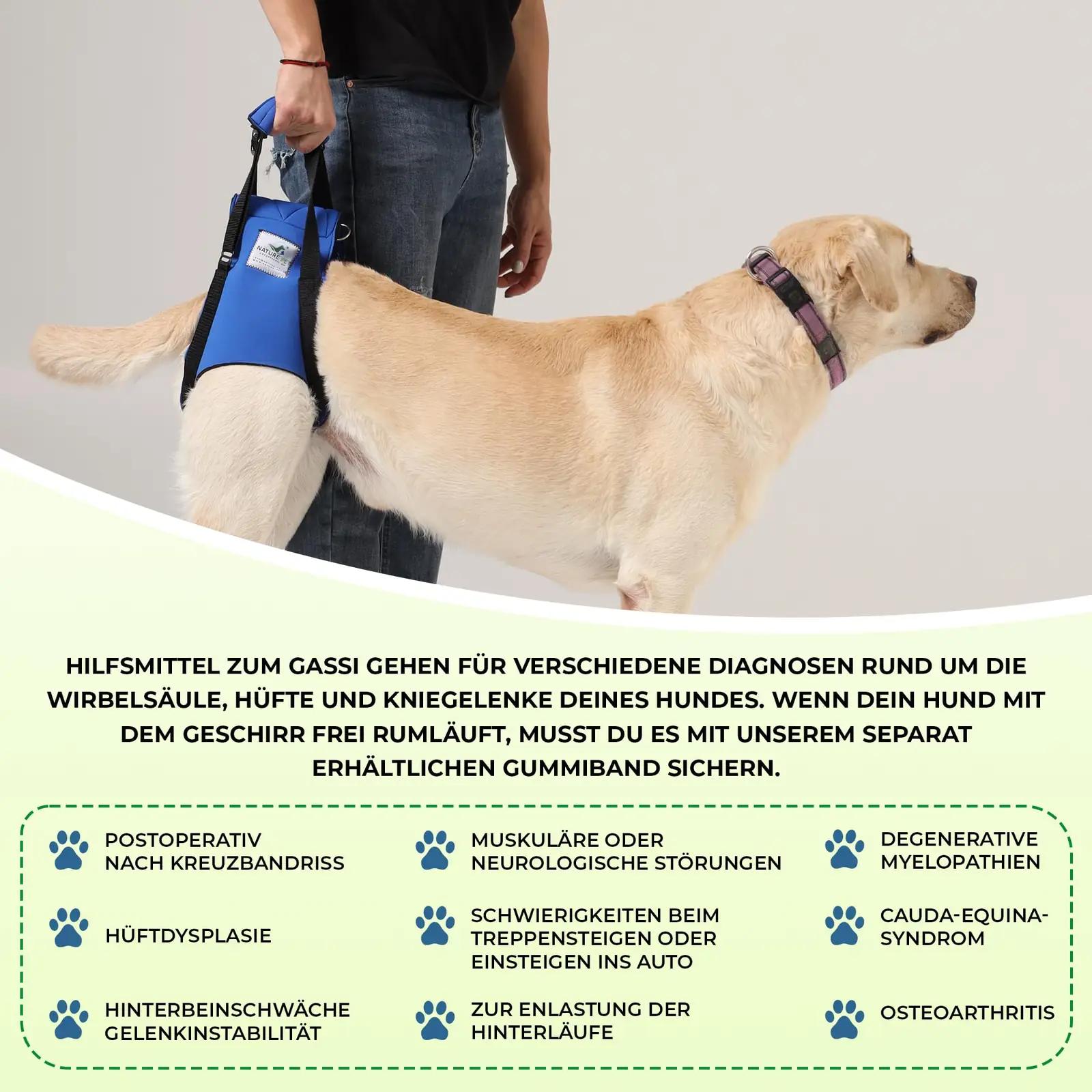 Nature Pet toestav koerarihm – reguleeritav trepiabi (S) – pilt 7