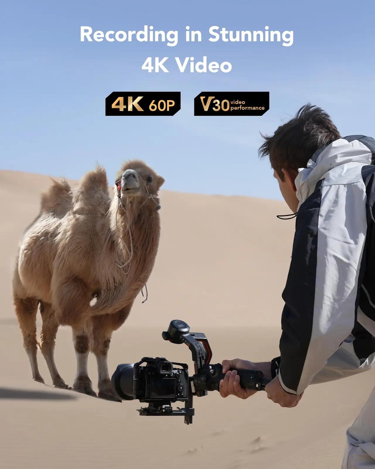 Lexar hõbedane 256GB SD-kaart — kiire 4K salvestus – kasutusnäide