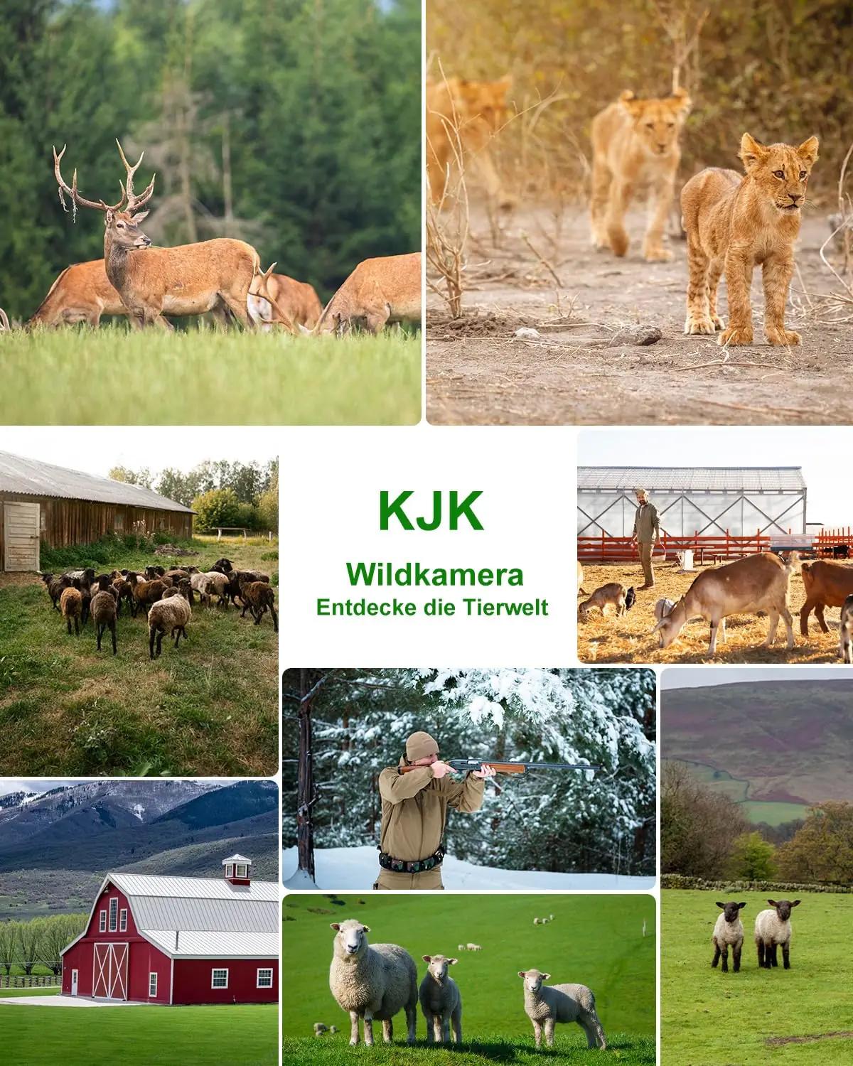 KJK 4K looma- ja valvekaamera IP67 veekindel lahendus – pilt 9