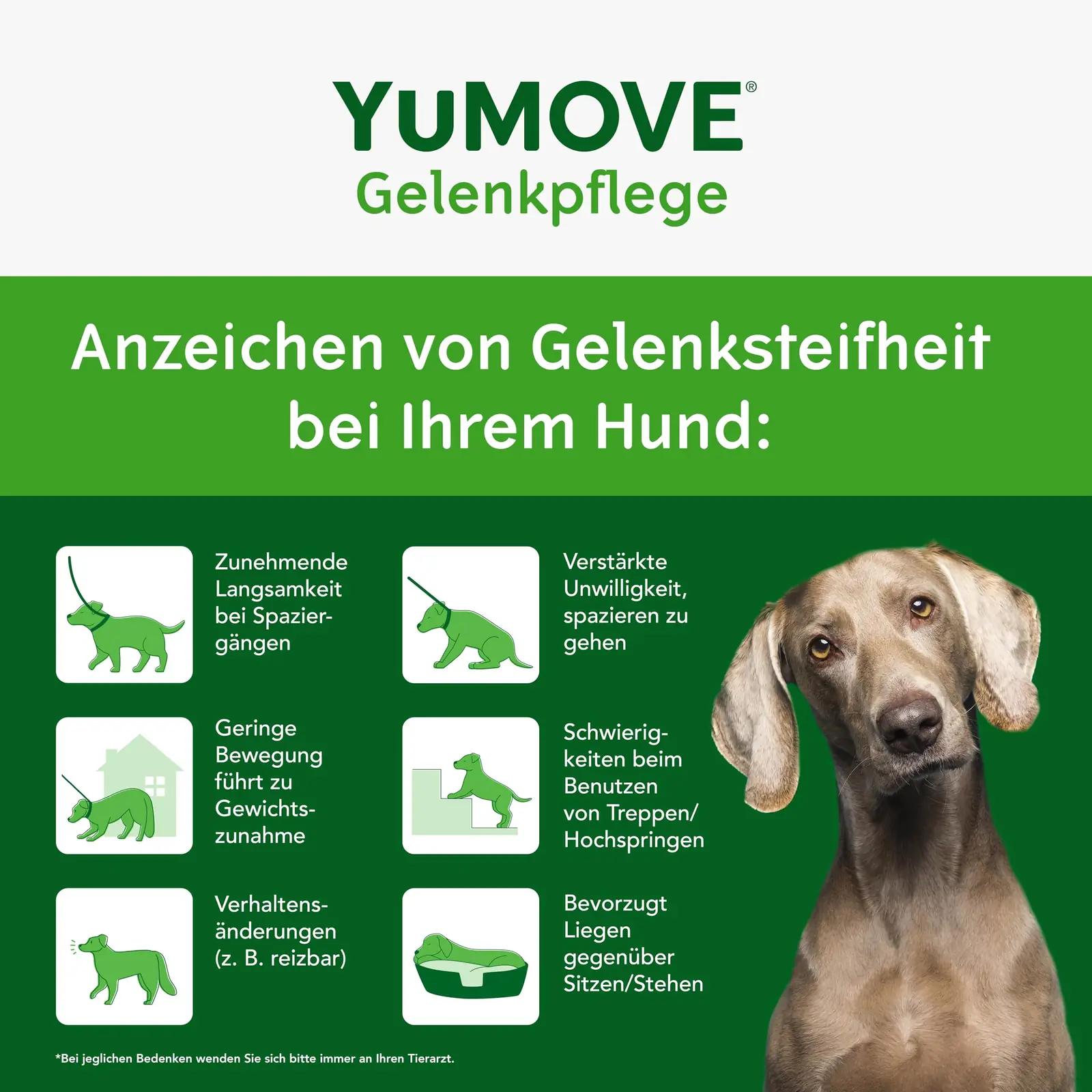 YuMOVE liigesetugev tablett koertele — liigeste liikuvus ja tugi – pakend ja tarvikud