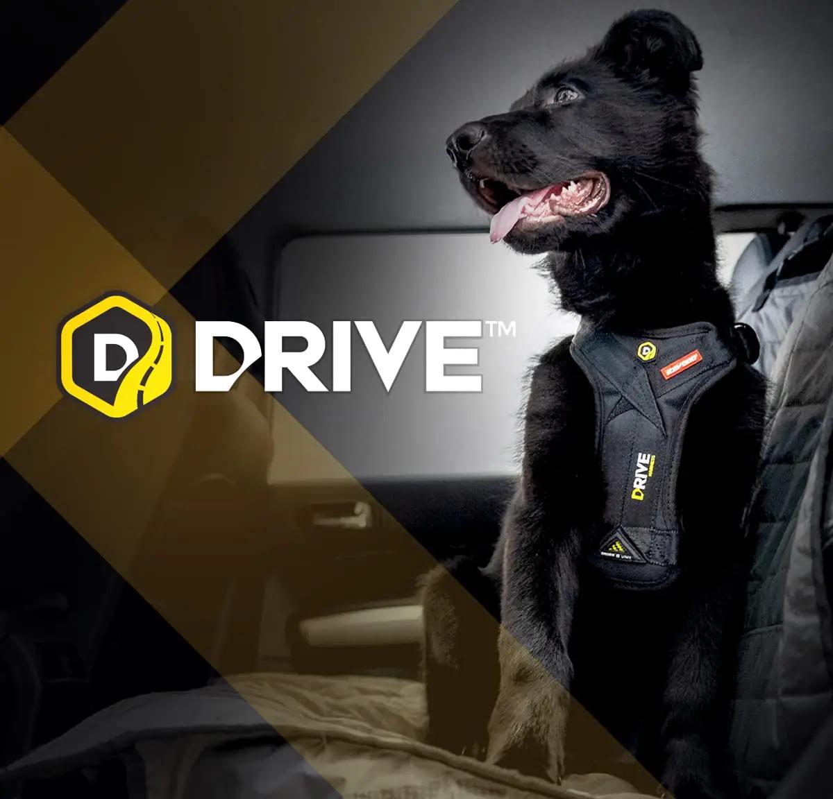 EzyDog turvavööga koeravaljaheide — tugev nailon – pilt 8