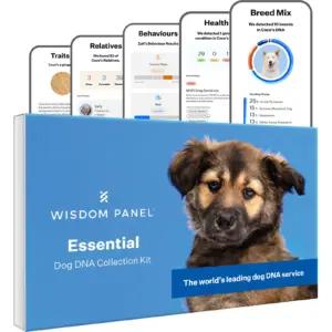 Wisdom 896285002477 lemmikloomad – toote esivaade