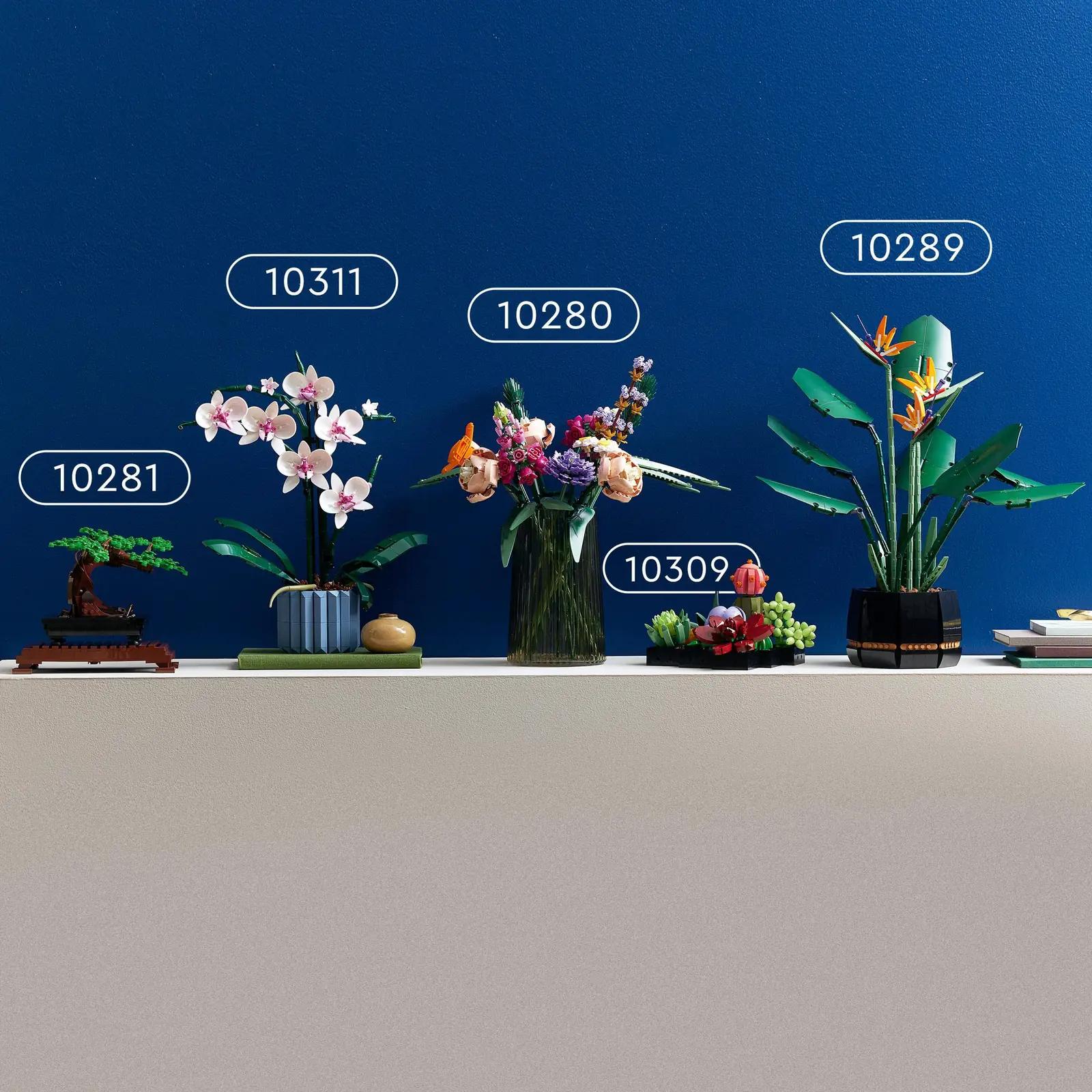 LEGO dekoratiivne sukkulendi komplekt — püsiv kodukaunistus – lisavaade