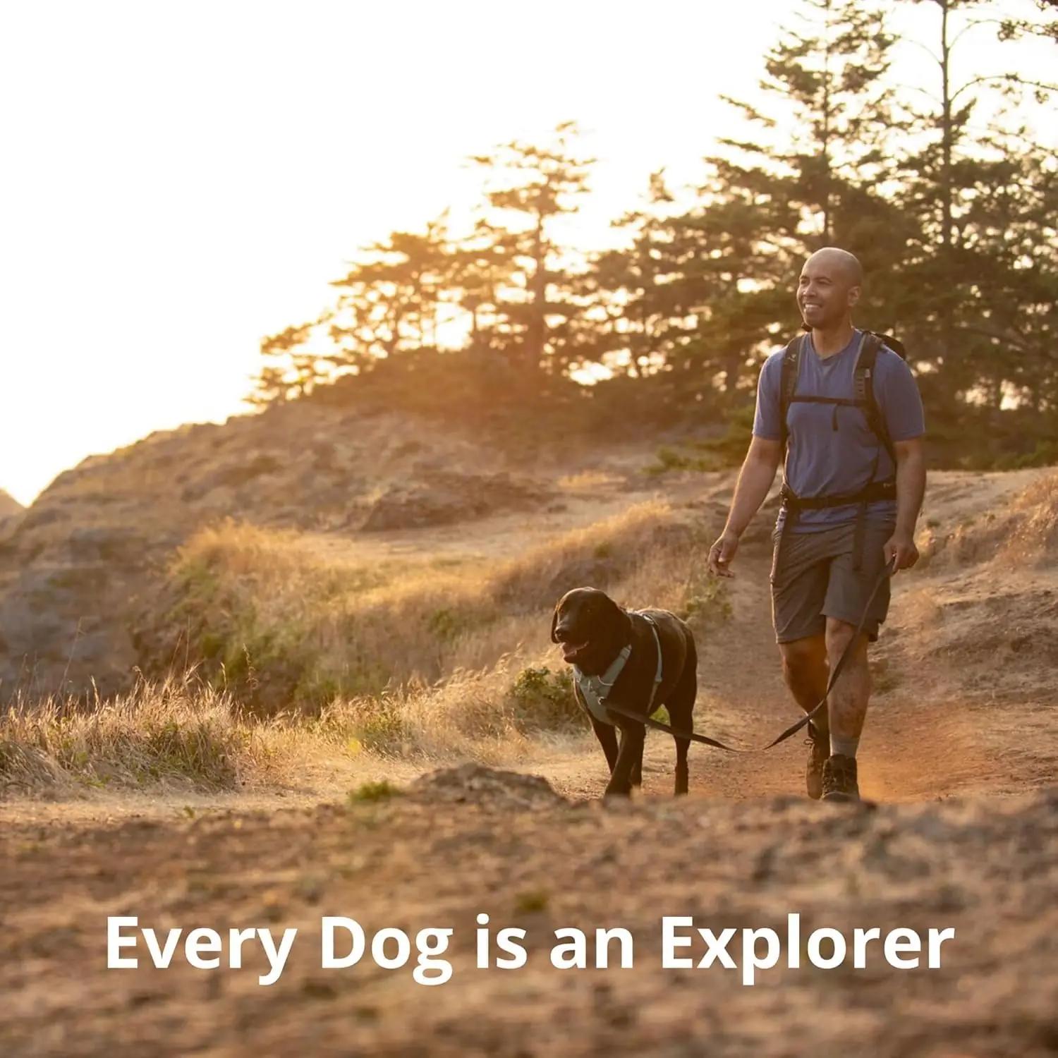 RUFFWEAR mugav ja reguleeritav koera valjaheide – Red Summac – pilt 9