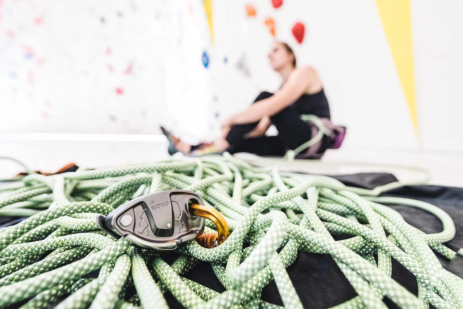 PETZL turvakinnitusega Grigri+ alumiiniumist laskumisahi – pilt 7