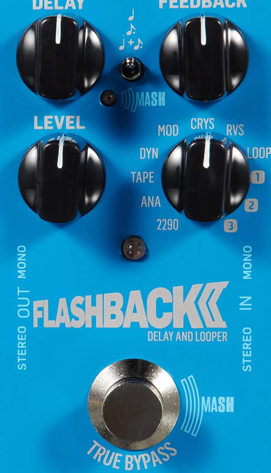 t.c electronic delay ja reverb Flashback 2 delay – pilt 6