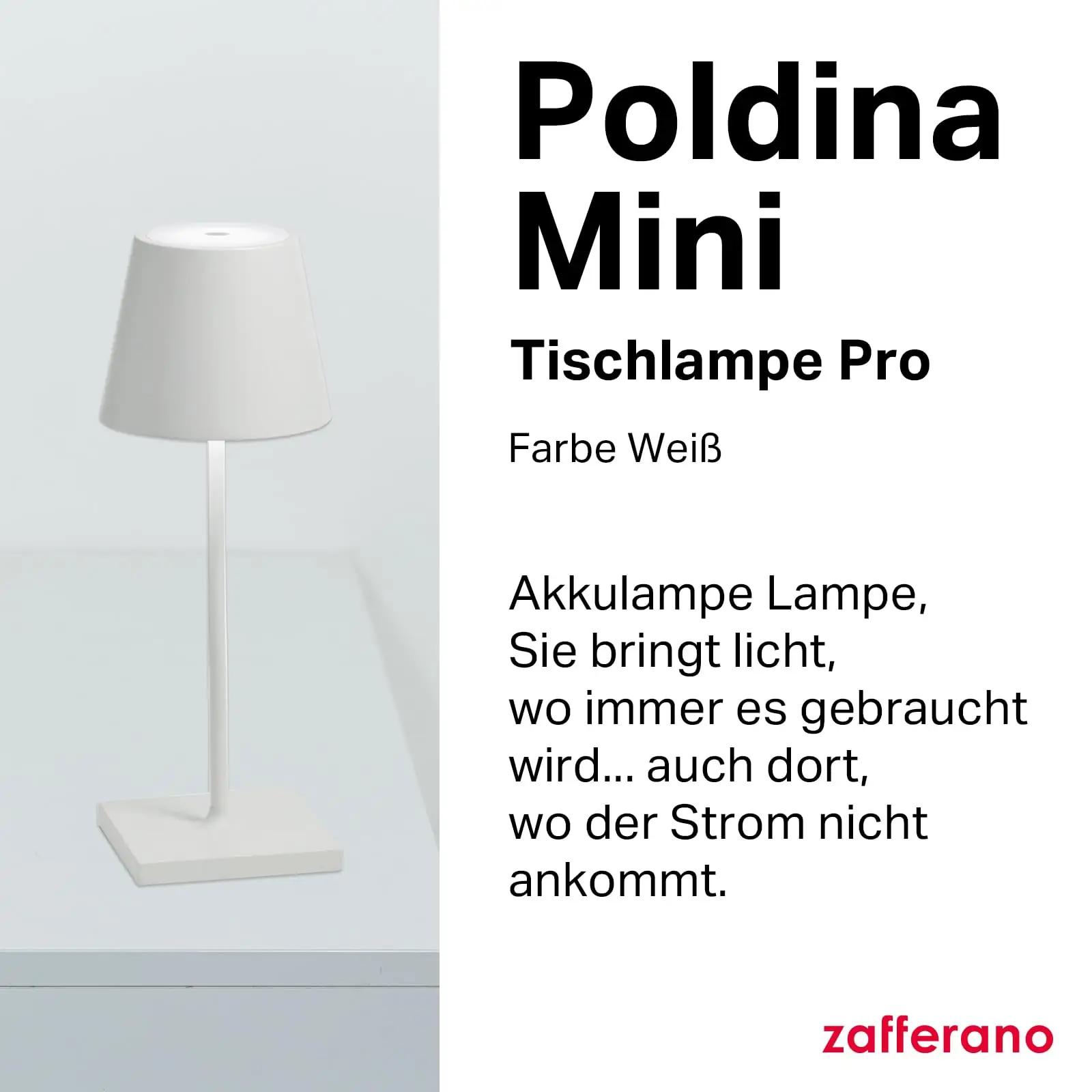 Zafferano valgusti Poldina Pro Mini — akkuga välikasutuseks – detailne vaade
