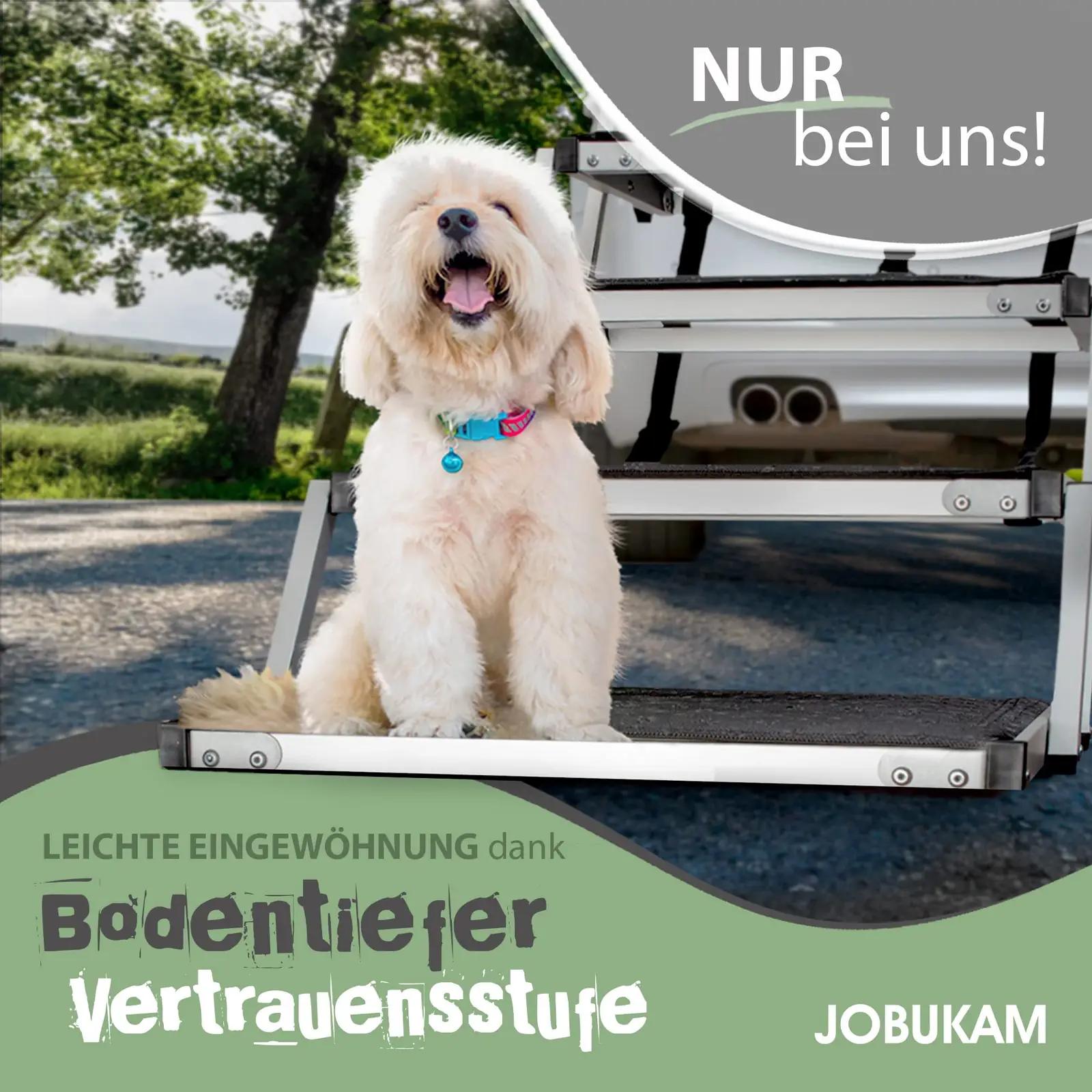 JOBUKAM alumiiniumist 65cm trepp koerale – pilt 6