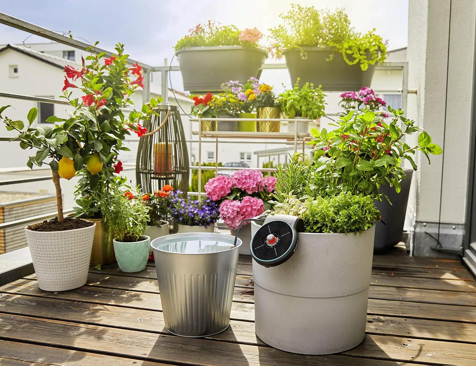 Gardena päikeseveega AquaBloom — ideaalne rõdukastidele – pilt 7