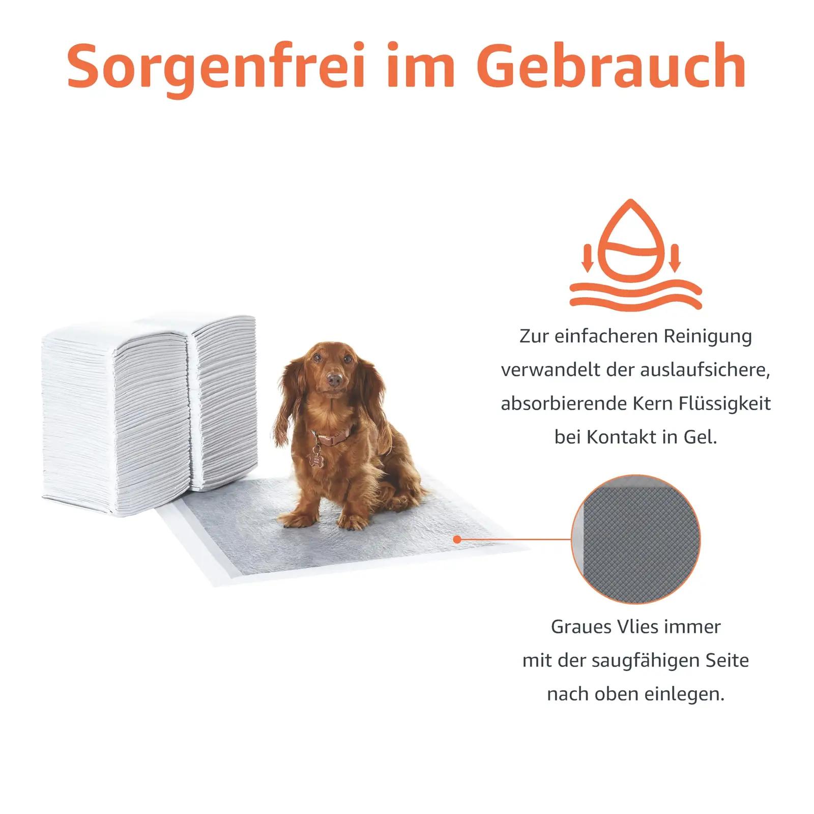 Amazon Basics süsivesinikuga treeningalused – lõhnakontroll, imav – kasutusnäide