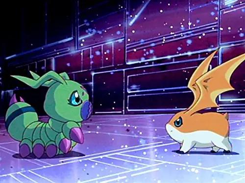 Plaion Pictures animadraama Digimon Adventure 02 DVD-komplekt – kasutusnäide