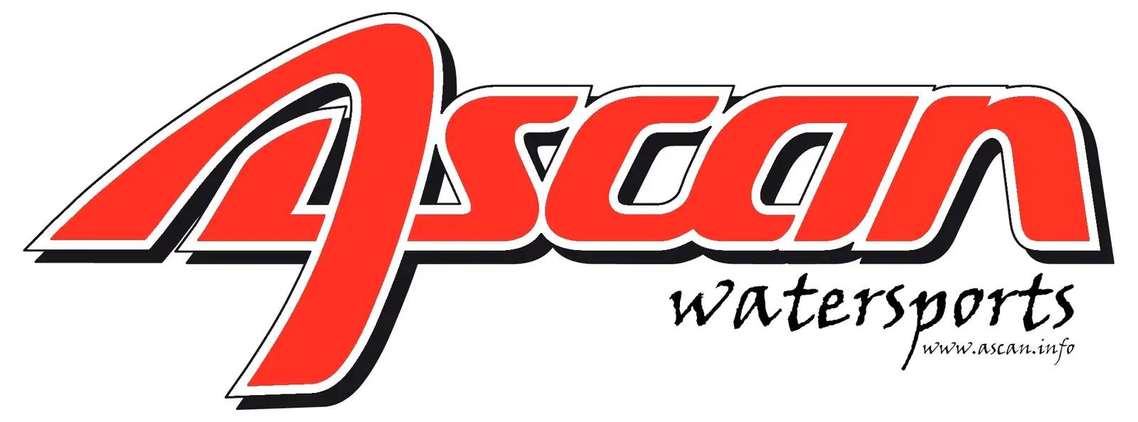 Ascan surfsussid – detailne lähivaade