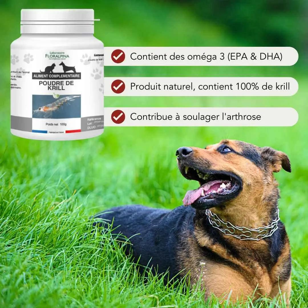 Floralpina krillipulber 100 g – looduslik Omega-3 kõhretoetus – kasutusnäide